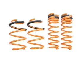 Megan Racing Lowering Springs Subaru Forester 2019+