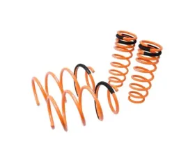 Megan Racing Lowering Springs Toyota Corolla 2014-2018