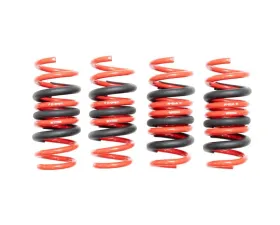 Megan Racing Lowering Springs