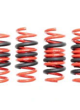Megan Racing Lowering Springs                                     - MR-LS-BG05X - Image 2