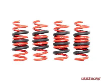 Megan Racing Lowering Springs - MR-LS-BG05X
