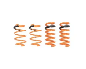 Megan Racing Lowering Springs Ford Mustang 2015+