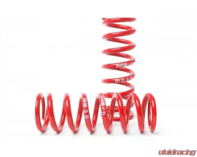 H&R 2 Inch I.D. Race Springs 4 Inch Free Length R20040700 - R20040700