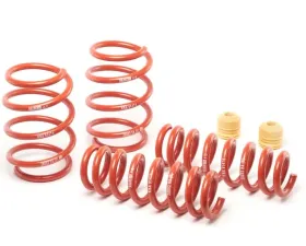H&R Sport Spring BMW M2 F87 2016-2021