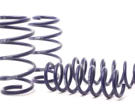 H&R Sport Spring BMW X3 F25 11-15