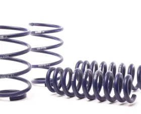 H&R Sport Spring BMW X1 sDrive28i E84 10-15