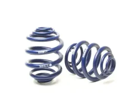 H&R Sport Spring Volkswagen Eurovan Type T4 94-03