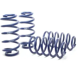 H&R Race Springs Audi A6 Quattro AWD 98-04