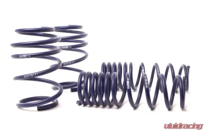 H&R Sport Springs BMW E60 M5 05-10 - 50463