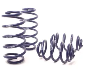 H&R Sport Spring Incl. B5.5 Facelift Volkswagen Passat Sedan 1.8T, 2.0L 98-05