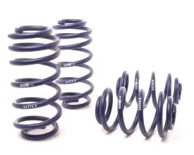 H&R Sport Spring Volkswagen Passat Sedan VR6, TDI 98-01