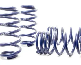 H&R Sport Spring Volkswagen Passat Sedan, Passat Wagon W8 02-05