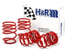 H&R Sport Spring w/Sport Suspension BMW 323i | 323Ci E46 99-02
