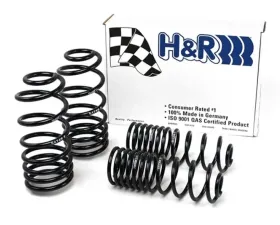 H&R Sport Spring Volkswagen Passat Sedan VR6 93-94