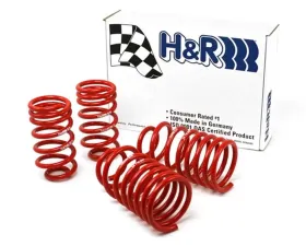 H&R Race Spring Volkswagen Jetta III VR6 93-98