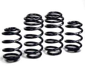 H&R Sport Spring Volkswagen Passat Wagon VR6, TDI, B5.5 Facelift 01-05
