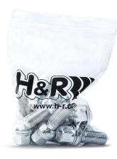 H&R Wheel Screw M14x1.25 46mm w/Movable Taper Head 60 Degree Silver                                     - 14254608 - Image 2