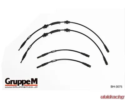 GruppeM Carbon Steel Fitting Brake Line System (Front & Rear Set) BMW 650i 6-Series F06/F12/F13 4.4L 2011+ - BH-3075