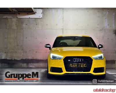 GruppeM Ram Air Intake System Audi S1 (8X) 2.0L TFSI 2014-2018 - FRI-0218