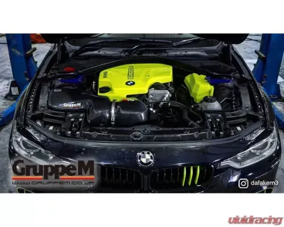 GruppeM Ram Air Intake System BMW 328i F30 2.0L Turbo 2012-2016 - FRI-0332