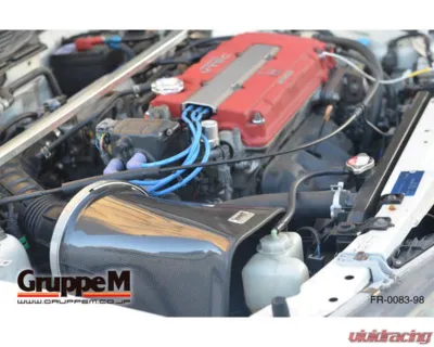 GruppeM Ram Air System Acura Integra DC2 Type-R B18C 1995-1997 - FR-0083-96