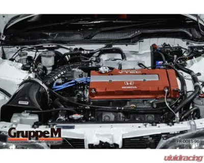 GruppeM Ram Air System Acura Integra DC2 Type-R B18C 1995-1997 - FR-0083-96