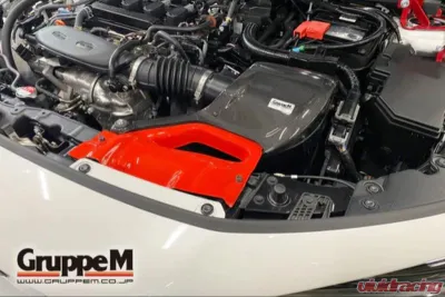 GruppeM Carbon Fiber Ram Air Intake System - FR-0530