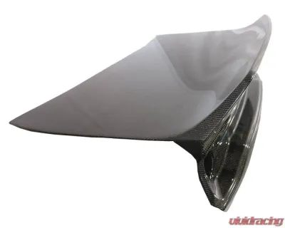VIS Racing Carbon Fiber Demon Style Trunk Dodge Charger 4DR 2011-2014 - 11DGCHA4DDEM-020C
