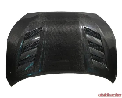 VIS Racing Carbon Fiber AMS Style Hood Hyundai Veloster 2DR 2019-2021 - 19HYVEL2DAMS-010C