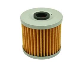 AEM Electronics High Volume Fuel Filter Element Replacement