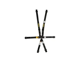 Schroth HNR Optimized 2in Shoulders LatchLink 2in Lap 5-Point  Adjustable Sub Pull Down Both Sides Adj