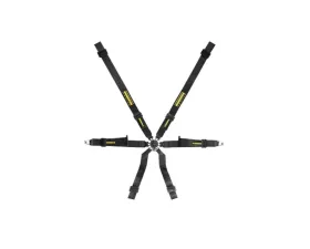 Schroth 2x2 Profi XLT Pull Up Black-X28