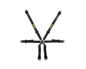 Schroth 2x2 Clubman Black