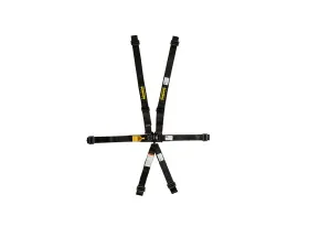 Schroth 6-Point Left & Right Side Pull Down Lap Non-Adjus Dual Anti-Sub Strap LatchLink-II 2