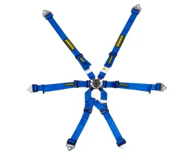 Schroth Blue Flexi 2x2 Belt