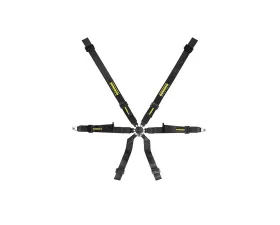 Schroth Black 2x2 XLT Pull-Down Belt