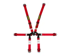 Schroth Red 2x2 Formula Belt