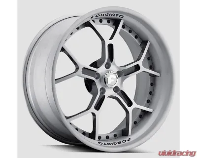 Forgiato GTR-B Flat Forging Wheel - FRG-GTR-B_FF
