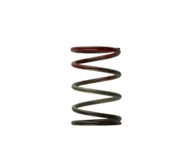 Turbosmart 2011 WG38/40/45 11PSI Middle Spring Brown/Red