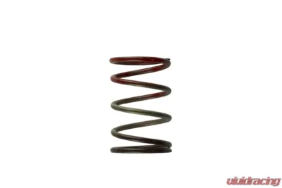 Turbosmart 2011 WG38/40/45 11PSI Middle Spring Brown/Red - TS-0505-2004