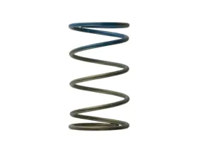 Turbosmart 2011 WG38/4045 10PSI Outer Spring Brown/Blue