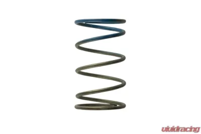 Turbosmart 2011 WG38/4045 10PSI Outer Spring Brown/Blue - TS-0505-2005