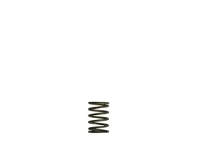 Turbosmart Gen-V WG38/40 3psi Black Inner Spring