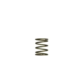 Turbosmart Gen-V WG45/50 3psi Orange Inner Spring