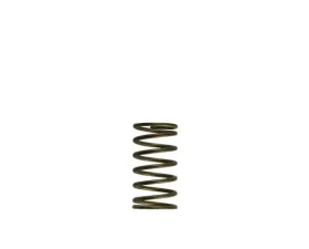 Turbosmart Gen-V WG60 3psi Inner Spring