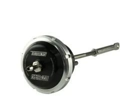 Turbosmart IWG75 Ford Mustang 2015 Turbonetics NXT 2.3L Eco boost 14psi