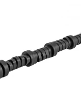 Skunk2 Tuner Stage 2 Camshafts                                     - 305-05-0075 - Image 5