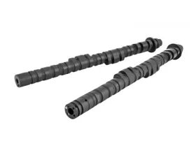 Skunk2 Tuner DIC Camshafts