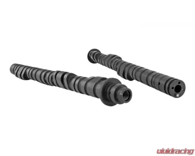 Skunk2 Tuner DIC Camshafts - 305-05-7000