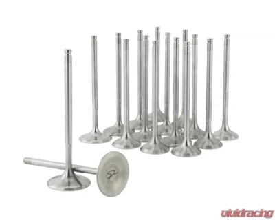Skunk2 33mm/28mm STD Comp B VTEC Alpha Valves - 310-05-1310